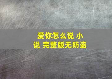 爱你怎么说 小说 完整版无防盗